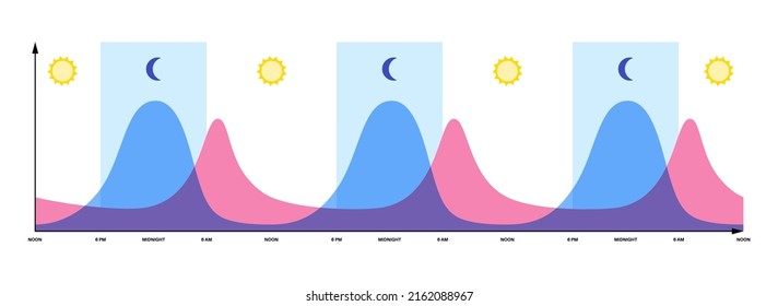 Circadian rhythm infographic poster. Melatonin and cortisol are produced in human brain. Colorful diagram of circadian cycle. Night day life balance. Sleep wake cycle chart flat vector illustration.