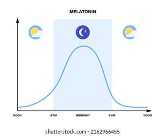 Circadian rhythm infographic poster. Melatonin and cortisol are produced in human brain. Colorful diagram of circadian cycle. Night day life balance. Sleep wake cycle chart flat vector illustration.