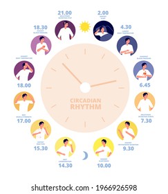 Circadian rhythm. Medical poster, human brain hormone exposure. Healthy day night diagram, sleep cycle and on sunlight reaction utter vector concept