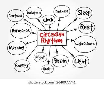 Circadian Rhythm is a natural, internal process that regulates the sleep-wake cycle and repeats roughly every 24 hours, text concept mind map