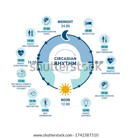 Circadian rhythm and sleep-wake cycle: how exposure to sunlight regulates hormones production and body processes during day and night