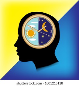 The circadian rhythm and sleep-wake cycle. Insomnia and sleep disorders.