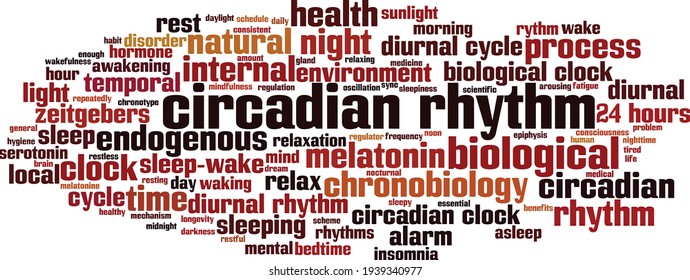 Circadian rhythm word cloud concept. Collage made of words about circadian rhythm. Vector illustration