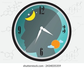 Circadian rhythms (circadian clock) are the physical, mental, and behavioral changes that an organism experiences over a 24-hour cycle, affecting the release of hormones and overall health.