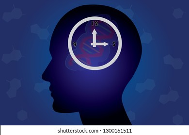 The circadian rhythms are controlled by circadian clocks or biological clock these clocks tell our brain when to sleep, tell our gut when to digest and control our activity in several day. 