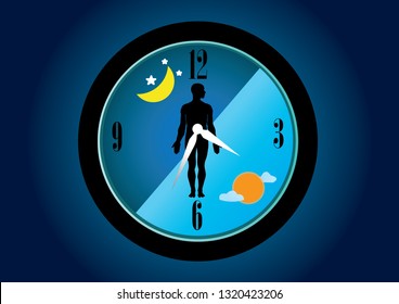 The circadian rhythms are controlled by circadian clocks or biological clock these clocks tell our brain when to sleep, tell our gut when to digest and control our activity in several day.