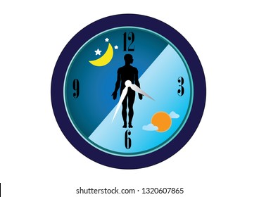 The circadian rhythms are controlled by circadian clocks or biological clock these clocks tell our brain when to sleep, tell our gut when to digest and control our activity in several day.