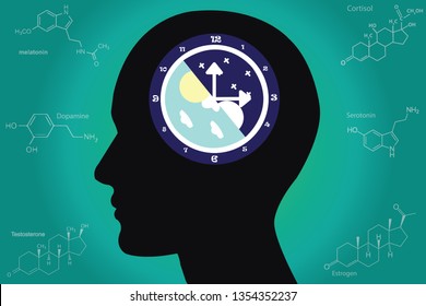 The circadian rhythms are controlled by circadian clocks or biological clock these clocks tell our brain when to sleep, tell our gut when to digest and control our activity in several day. 