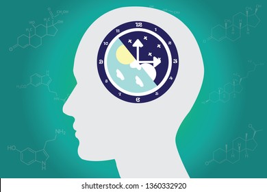 The circadian rhythms are controlled by circadian clocks or biological clock these clocks tell our brain when to sleep, tell our gut when to digest and control our activity in several day. 