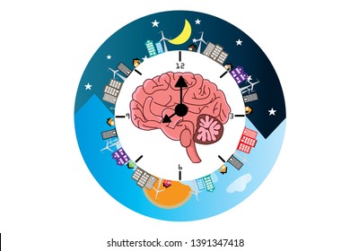 The circadian rhythms are controlled by circadian clocks or biological clock these clocks tell our brain when to sleep, tell our gut when to digest and control our activity in several day.