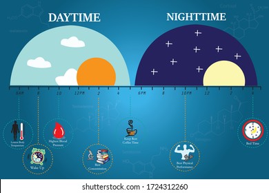 The circadian rhythms are controlled by circadian clocks or biological clock these clocks tell our brain when to sleep, tell our gut when to digest and control our activity in several day.