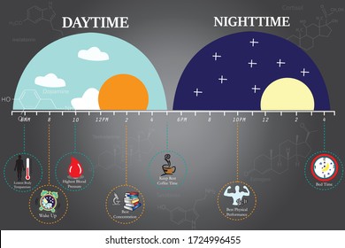 The circadian rhythms are controlled by circadian clocks or biological clock these clocks tell our brain when to sleep, tell our gut when to digest and control our activity in several day.