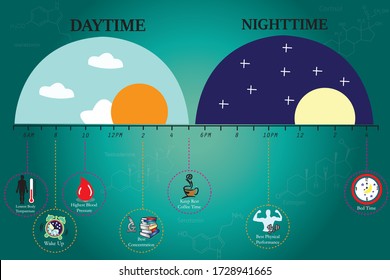 The circadian rhythms are controlled by circadian clocks or biological clock these clocks tell our brain when to sleep, tell our gut when to digest and control our activity in several day.