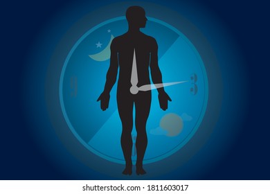 The circadian rhythms are controlled by circadian clocks or biological clock these clocks tell our brain when to sleep, tell our gut when to digest and control our activity in several day.