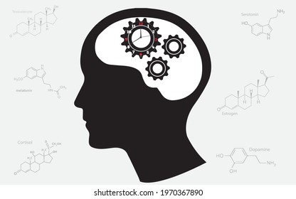 The circadian rhythms are controlled by circadian clocks or biological clock these clocks tell our brain when to sleep, tell our gut when to digest and control our activity in several day.