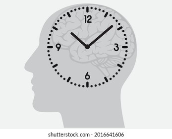 The circadian rhythms are controlled by circadian clocks or biological clock these clocks tell our brain when to sleep, tell our gut when to digest and control our activity in several day.