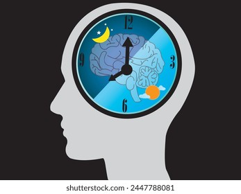 The circadian rhythms are controlled by circadian clocks or biological clock these clocks tell our brain when to sleep, tell our gut when to digest and control our activity in several day.