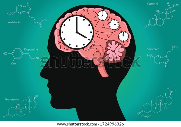 The\
circadian rhythms are controlled by circadian clocks or biological\
clock these clocks tell our brain when to sleep, tell our gut when\
to digest and control our activity in several\
day.