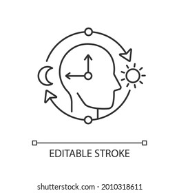 Circadian rhythms linear icon. Internal daily clock. Optimize cognitive function for daytime. Thin line customizable illustration. Contour symbol. Vector isolated outline drawing. Editable stroke