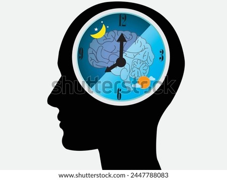 Circadian rhythms, often referred to as the biological clock, are internal processes that regulate the sleep-wake cycle and repeat roughly every 24 hours.