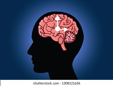 Die zirkadischen Rhythmen Vektorgrafik. Circadian-Uhren oder biologische Uhr, die diese Uhren kontrollieren unser Gehirn, wann zu schlafen, sagen Sie unseren Darm wann zu verdauen und.Gehirn-Vektorgrafik.Hirnuhr  