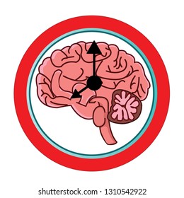 The circadian rhythms vector creative illustration. circadian clocks or biological clock these clocks control our brain when to sleep, tell our gut when to digest and.Brain vector.Brain clock  