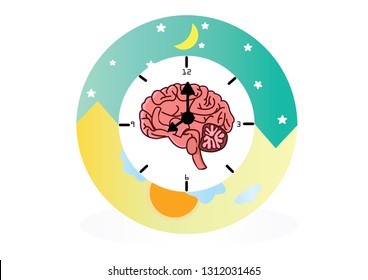 The circadian rhythms vector creative illustration. circadian clocks or biological clock