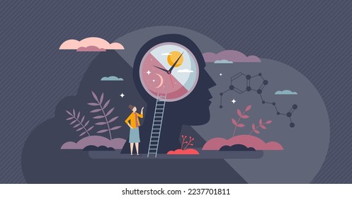 Circadian sleep rhythm with inner cycle for daily routine tiny person concept. Day and night inner balance for healthy melatonin, serotonin and cortisol stages vector illustration. Mental clock time.