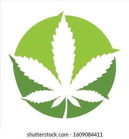 circle abstract concept cannabis leaf logo designs vector