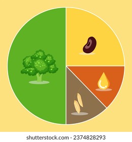 circle of allocating plant base diet