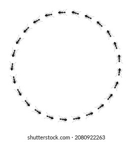 Circle ants isolated on white background. Vector insects character in flat style for books illustration, design logo, articles and magazines.