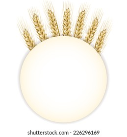 Circle background with wheat ears. Vector illustration. 