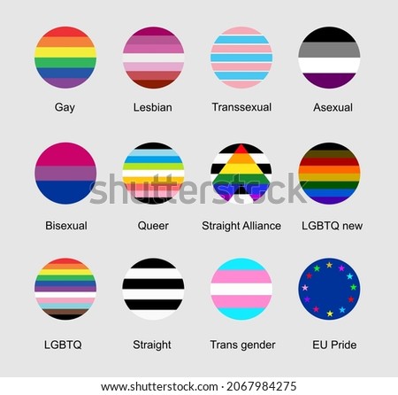 Circle badge flag gay vector illustration. LGBT pride symbol, lesbian sign, trans sexual culture, homosexual, asexual, bisexual, queer, straight, trans gender. Human rights and freedom. LGBTQ culture.