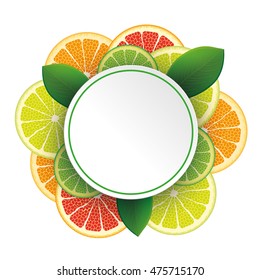 Circle banner with citrus fruits on the white. Eps 10 vector file.