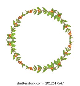 Circle border with coffee branches isolated in white background. Design elements for labels or stickers.