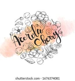 Círculo con macerola de ramificación, fruta, flor y letras. Dibujos detallados hechos a mano, ilustración botánica vectorial. 