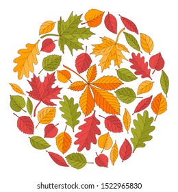 Circle of bright colorful autumn leaves on a white background