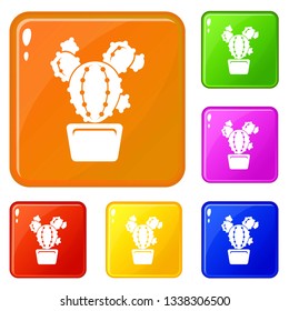 Circle cactus icons set collection vector 6 color isolated on white background