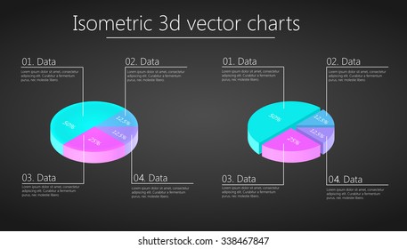 Circle chart for presentation - isometric infographics elements