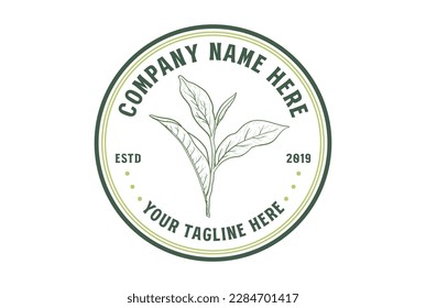 Circle Circular Vintage Retro Green Tea Leaf Leaves Bud Shoot for Cafe Restaurant Drink or Farm Product Badge Emblem Label Logo Design Vector