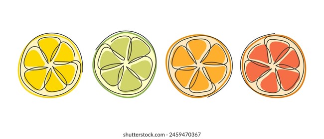 Circle citrus slices. Lime lemon orange grapefruit half isolated on white. Fresh juicy tropical fruit. Ingredient for lemonade, cocktail, antioxidant drink, dessert. Element for summer design