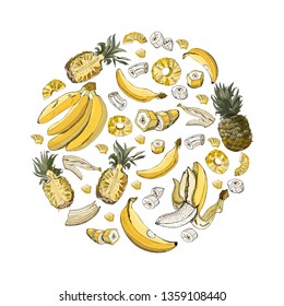 Circle color composition  of pineapple and banana fruits. Whole and sliced elements isolated on white background. Hand drawn sketch. Vector illustration.