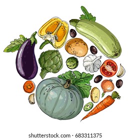 Circle of colored vegetables.  Fresh food. Pumpkin, Cabbage, Blockley, kohlrabi, cauliflower, Brussels, beets, asparagus, corn, garlic, tomato line drawn on a white background. Vector illustration.