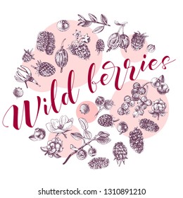 Circle composition with different types of hand drawn berries and type design - wild berries. Vector illustration