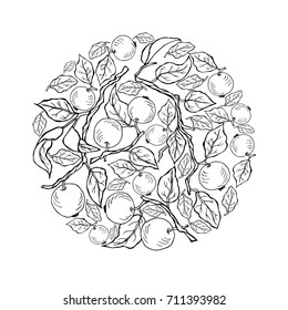 Circle concept with apple tree branches. Vector design element. Isolated on background.