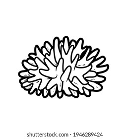 Dibujo lineal del libro de colorear objetos de coral circular aislado en fondo blanco