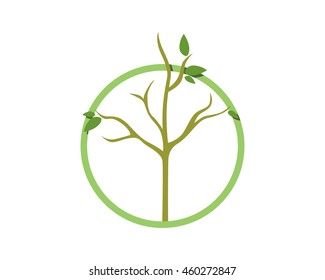 circle dead tree leafless plant fall image vector icon