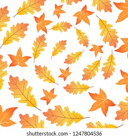 Circle of dry leaves maple and oak Autumn pattern nature background