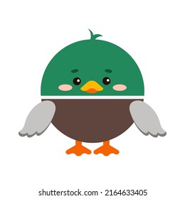Circle duck mallard forest bird animal face icon isolated on white background. Cute cartoon round shape kawaii kids avatar character. Vector flat clip art illustration mobile ui game application.
