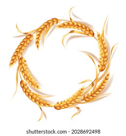 A circle of ears of ripe cereals. Vector illustration isolated on white background.
